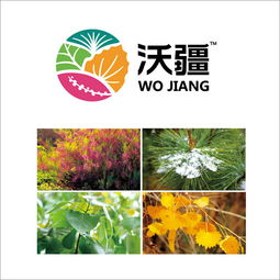 如何選定一個(gè)靠譜北京營(yíng)銷策劃公司｜以福來品牌實(shí)戰(zhàn)經(jīng)驗(yàn)為例，升級(jí)你的全案戰(zhàn)略
